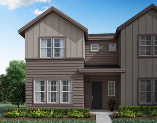 Plan B - Candelas Townhomes: Arvada, Colorado - Tri Pointe Homes