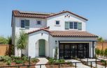 Starblossom at Montelena - Rancho Cordova, CA