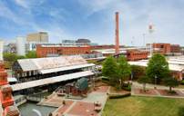 The Grove at Latta Park por Tri Pointe Homes en Raleigh-Durham-Chapel Hill North Carolina