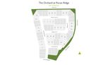 The Orchard at Pecan Ridge - Fulshear, TX