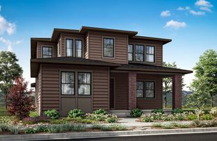 Plan 3 Solstice - Polaris at Terraine: West Jordan, Utah - Tri Pointe Homes