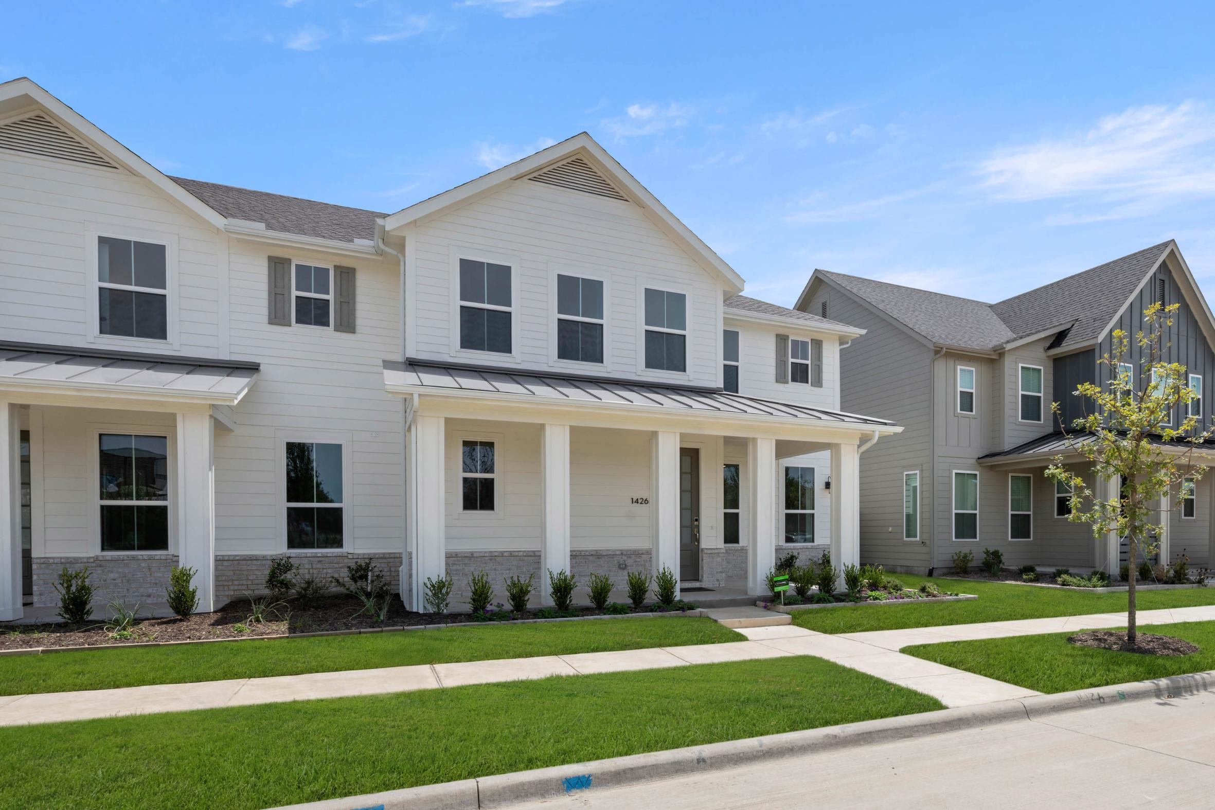 1426 Fennel Street (Chicory)