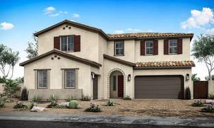 Grove Plan 50-3 - Avocet at Waterston Central: Gilbert, Arizona - Tri Pointe Homes
