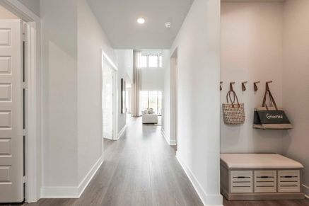 Representative Only | Goldeneye Model