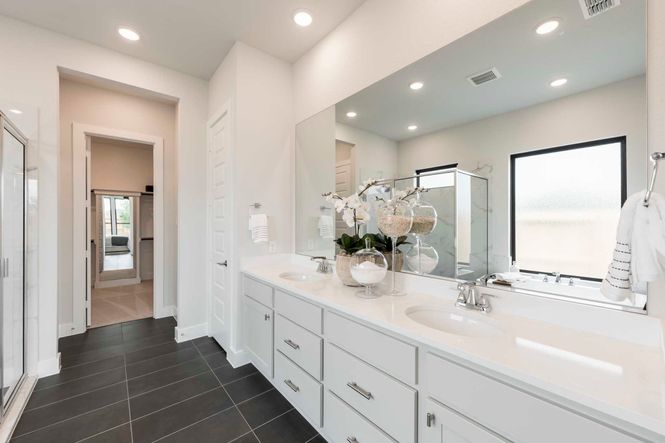 Representative Only | Goldeneye Model