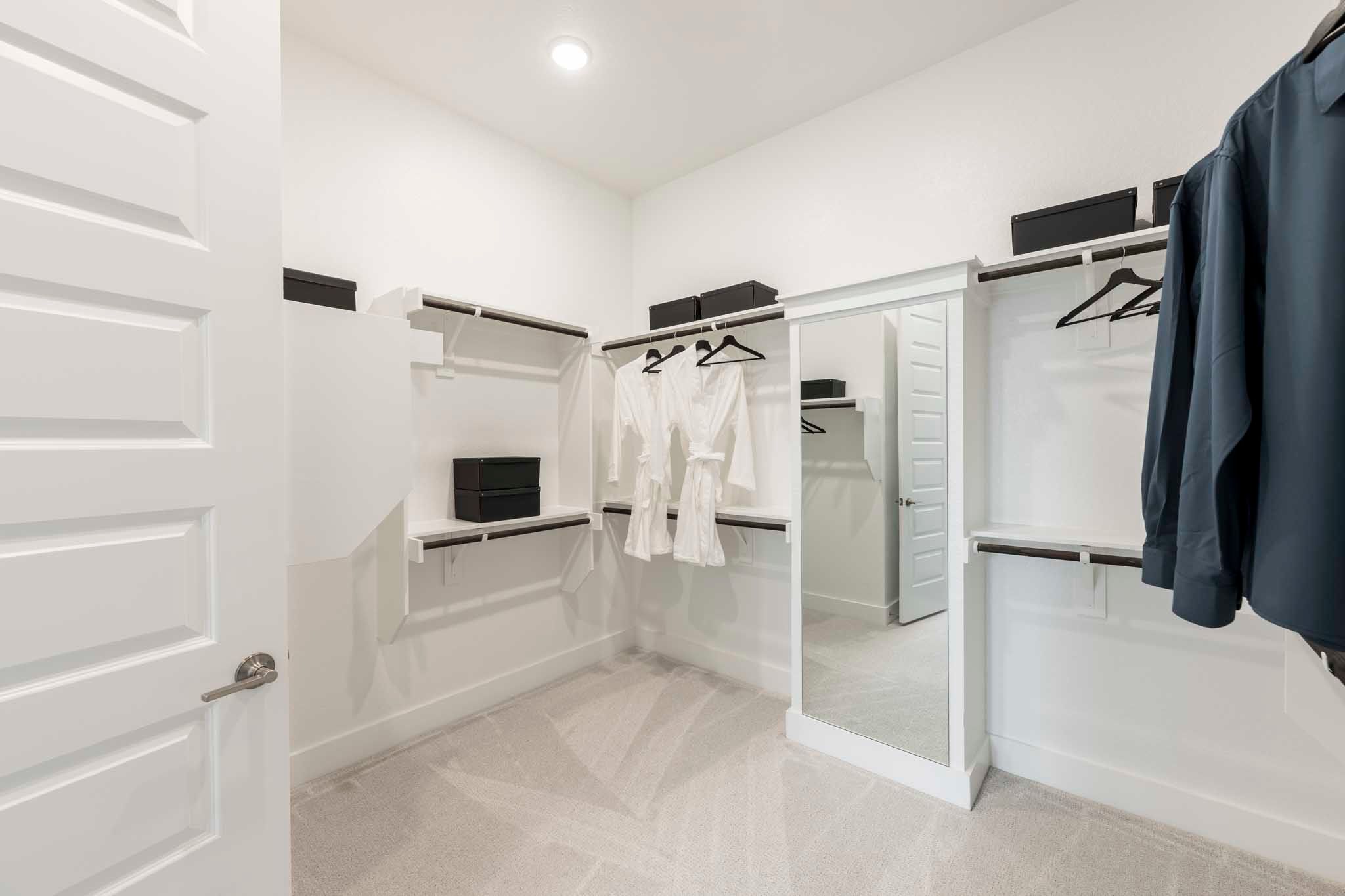 Representative Only | Goldeneye Model