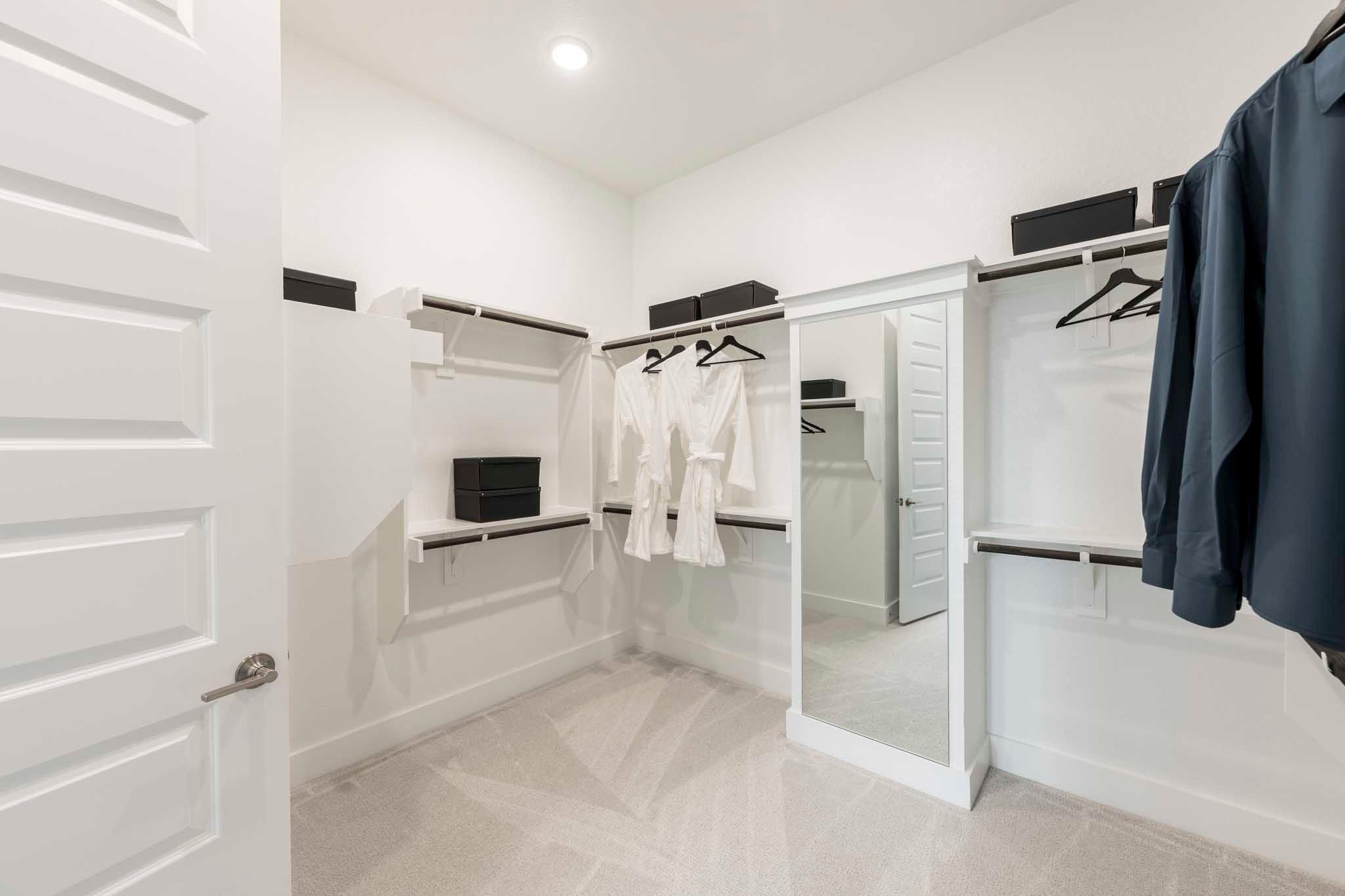 Representative Only | Goldeneye Model