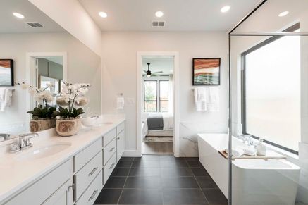 Representative Only | Goldeneye Model