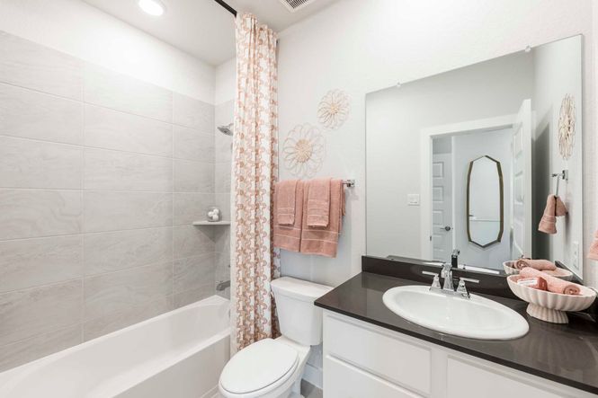 Representative Only | Goldeneye Model