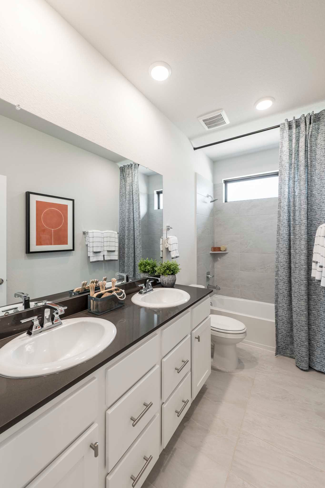 Representative Only | Goldeneye Model