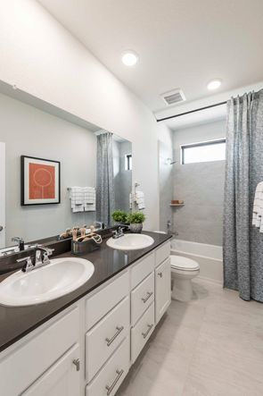 Representative Only | Goldeneye Model