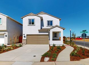 Plan 1 - Terrace Park: Sacramento, California - Tri Pointe Homes