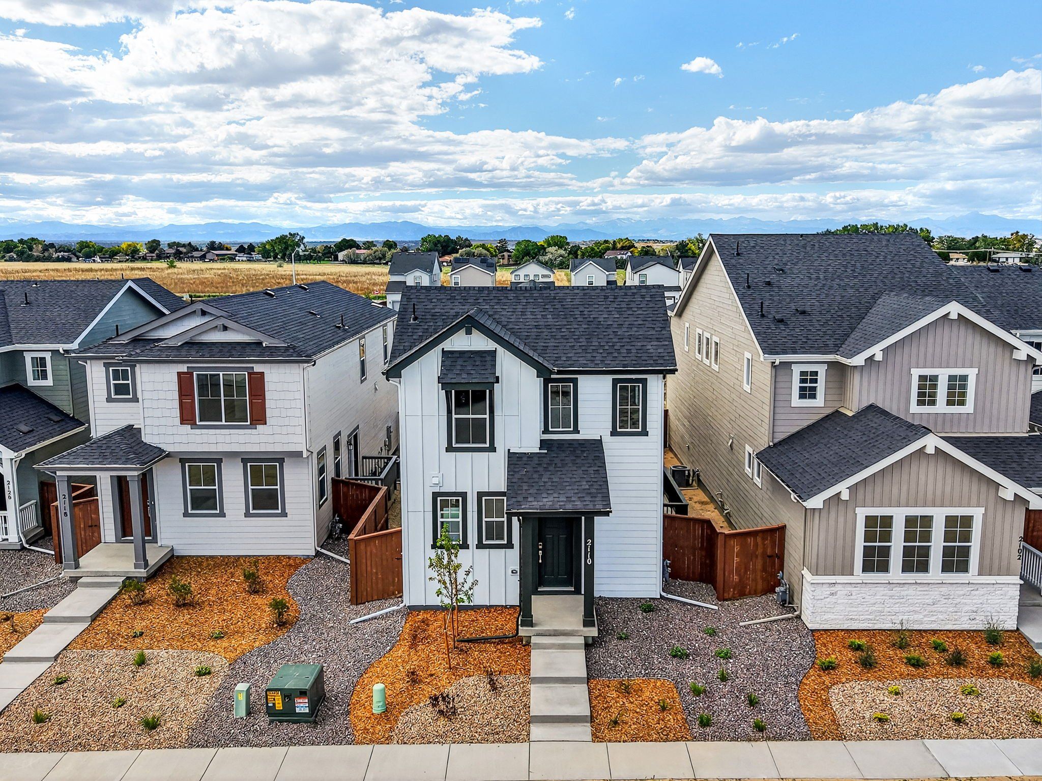 Stella - Farmlore: Brighton, Colorado - Taylor Morrison