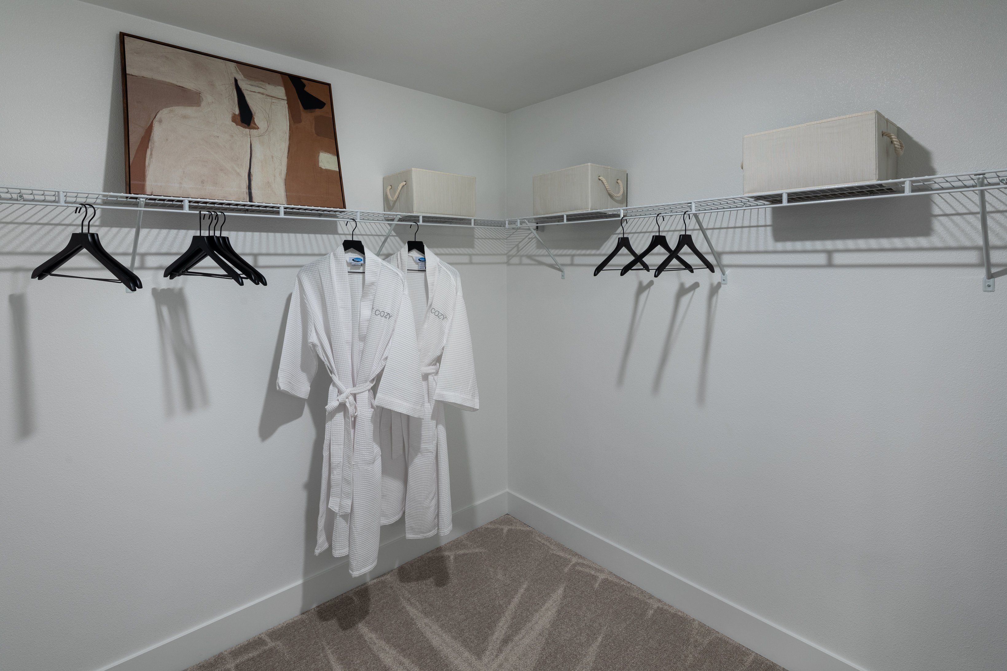 Ridgeline at Bethany Willow Primary Closet