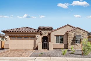 Bradshaw - Allen Ranches Expedition Collection: Litchfield Park, Arizona - Taylor Morrison