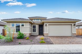 Hillary - Allen Ranches Expedition Collection: Litchfield Park, Arizona - Taylor Morrison