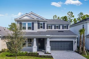 Bermuda - Hammock at Two Rivers: Zephyrhills, Florida - Taylor Morrison