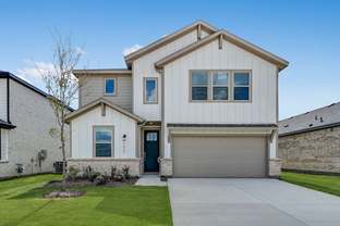 Verbena - Madero 50s: Haslet, Texas - Taylor Morrison