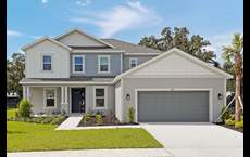 Timber Ridge: Plant City, Florida - Taylor Morrison