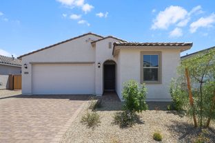 Hazel - Artisan at Asante Discovery Collection: Surprise, Arizona - Taylor Morrison