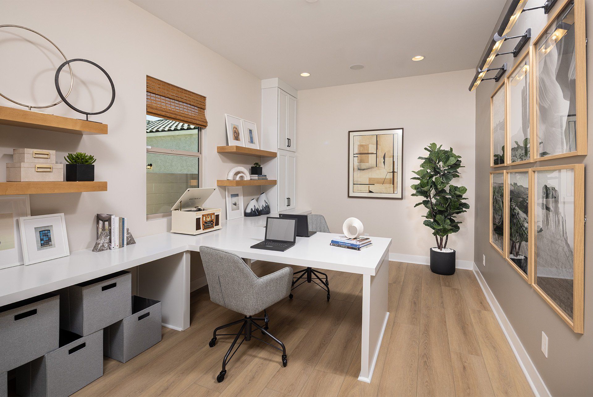 Verdin Discovery_Azelia Flex 1920x1286