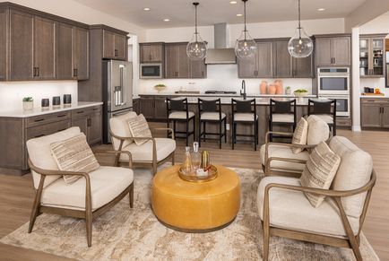 Verdin Odyssey_Great Room Kitchen