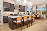 Verdin Passage Collection - Phoenix, AZ