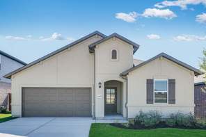 1305 Alana Falls Avenue (Blanco 2)