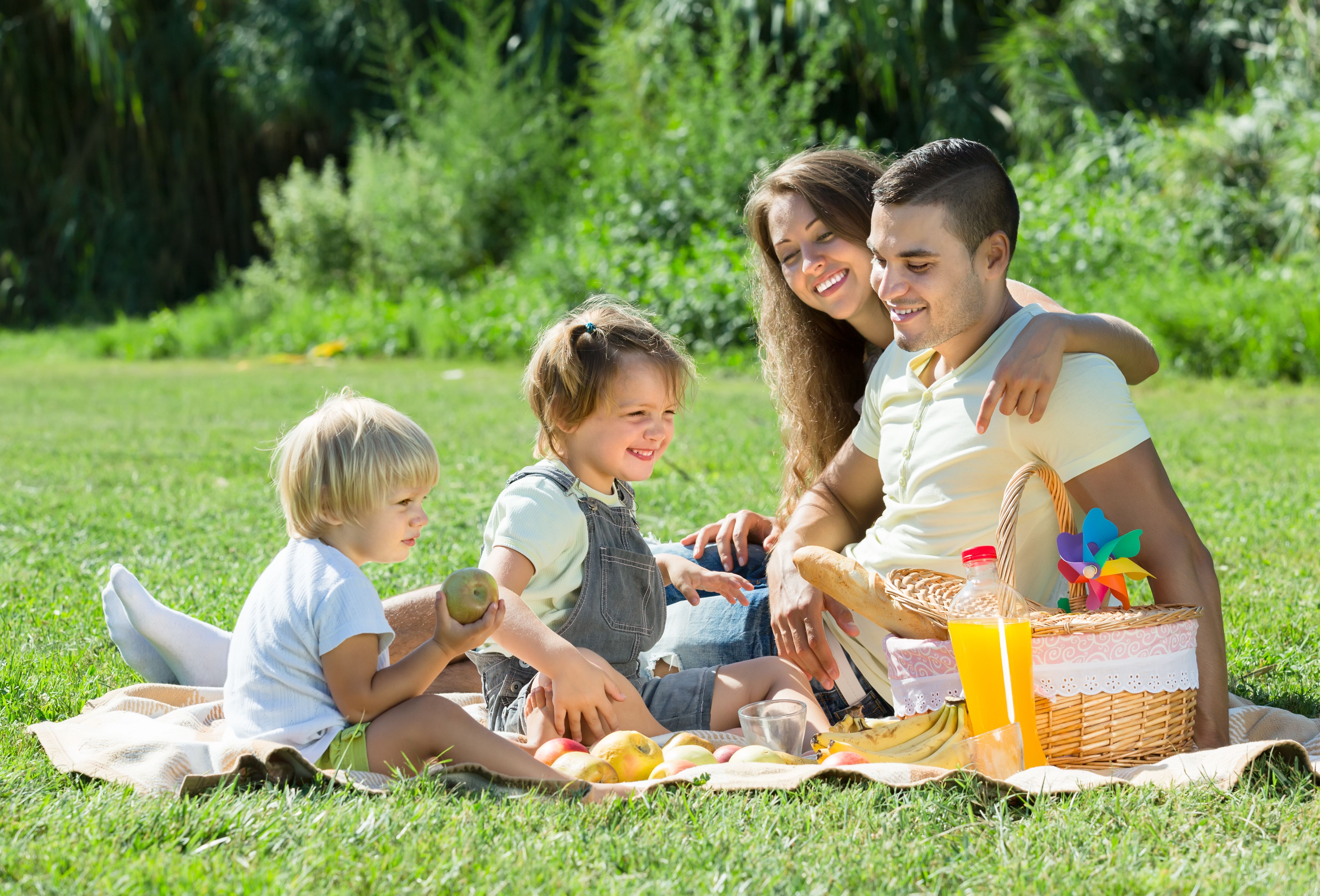 family picnic_458670019