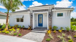 Lucca - Esplanade at Azario Lakewood Ranch: Lakewood Ranch, Florida - Taylor Morrison