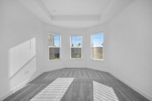 Roma - Esplanade at Wiregrass Ranch: Wesley Chapel, Florida - Taylor Morrison