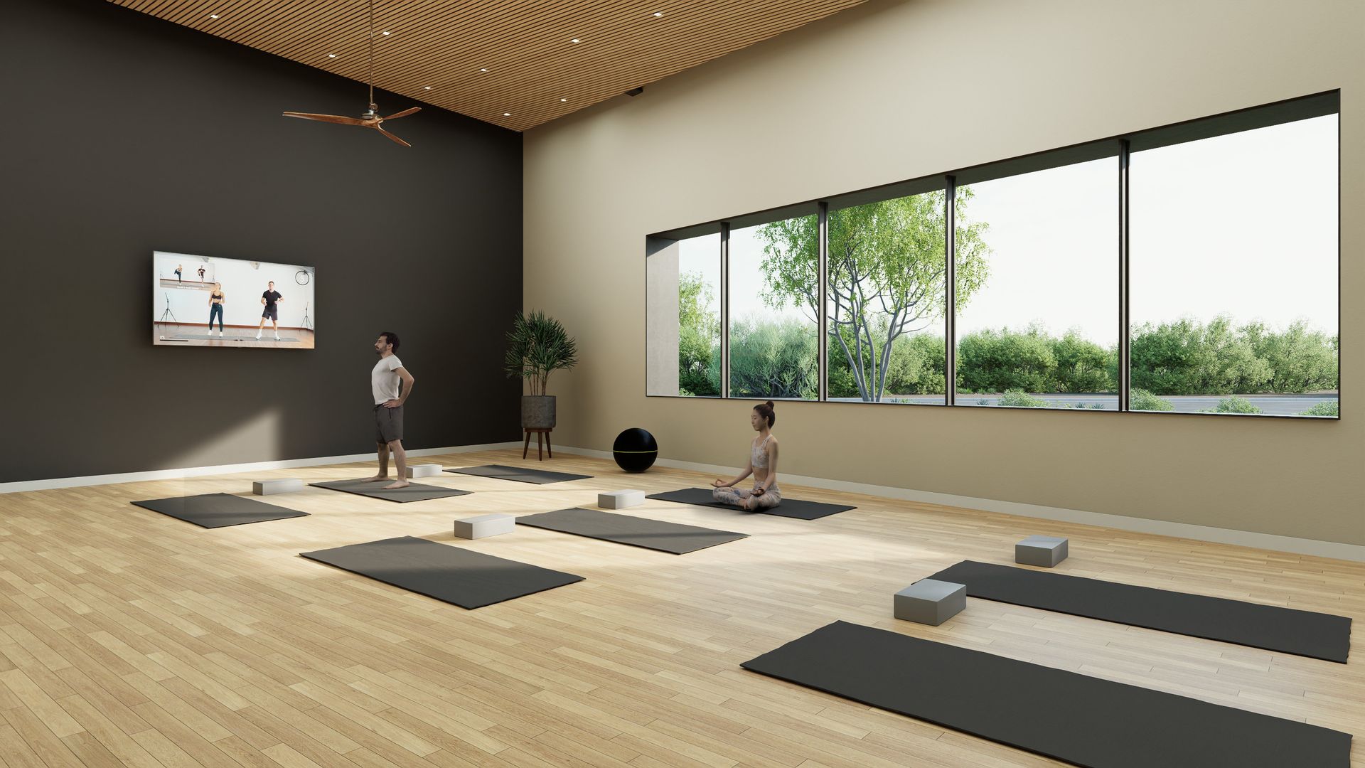 Movement studio