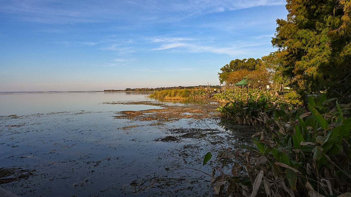 Newton-Park-0427-1200x675