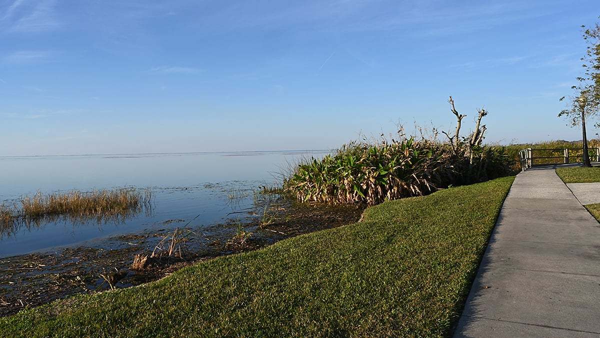 Newton-Park-0428-1200x675