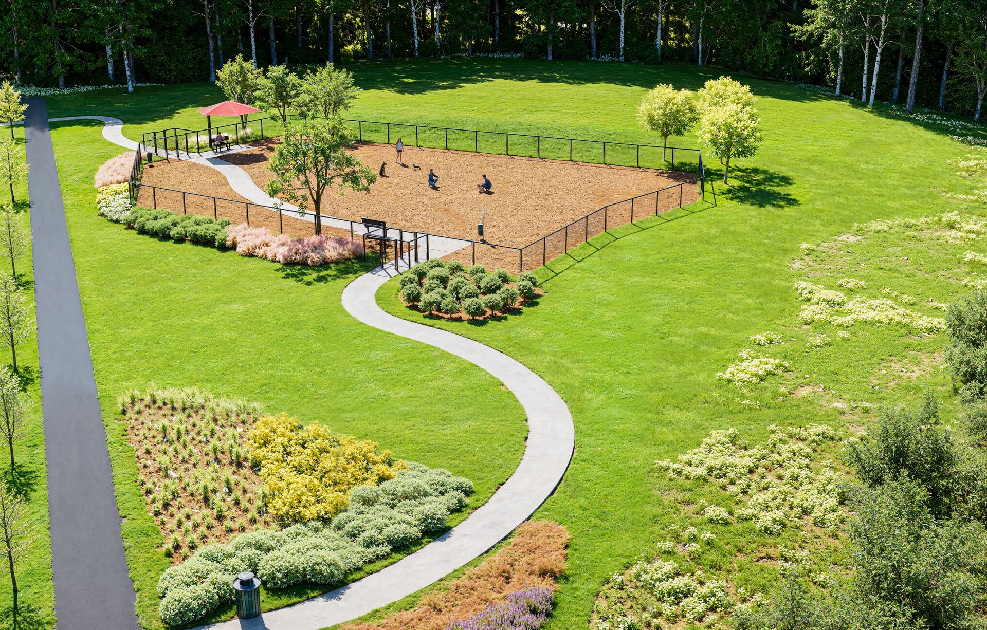 Dog Park Aerial