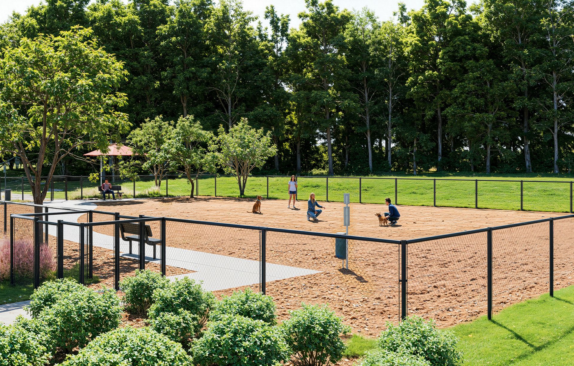 Dog Park Ground 1