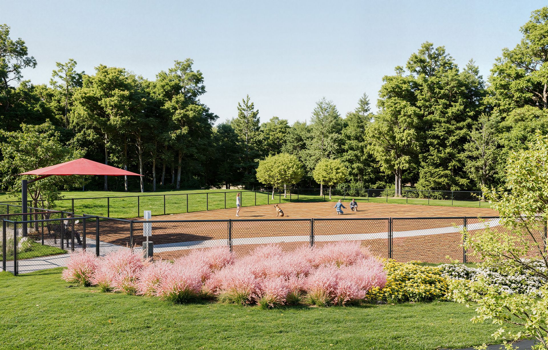 Dog Park Ground 2