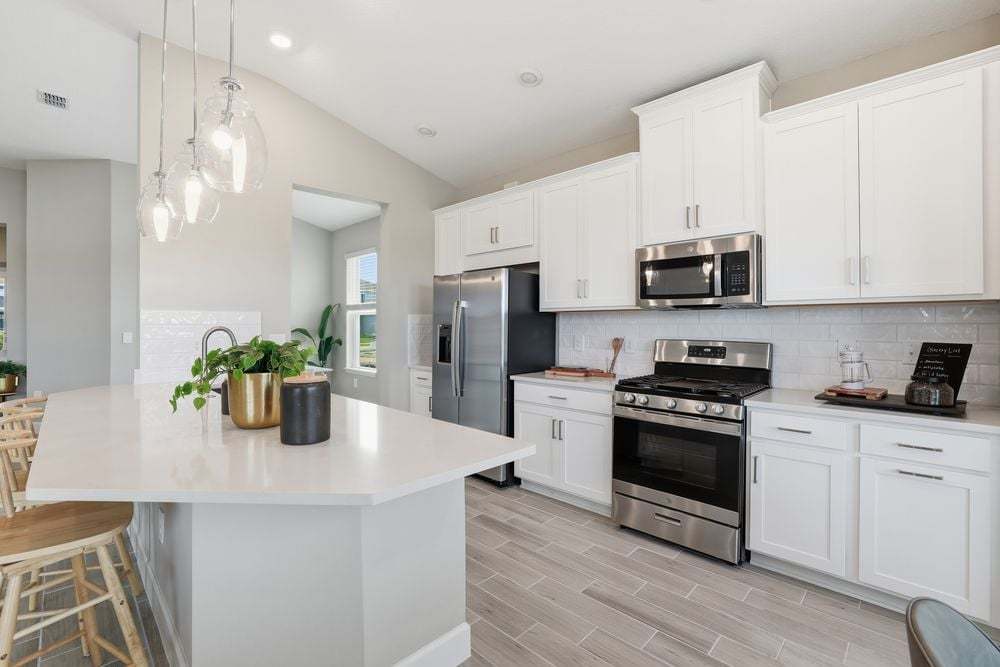 hj-fl-tampa-firethorn-aruba-lot-1033-kitchen-002