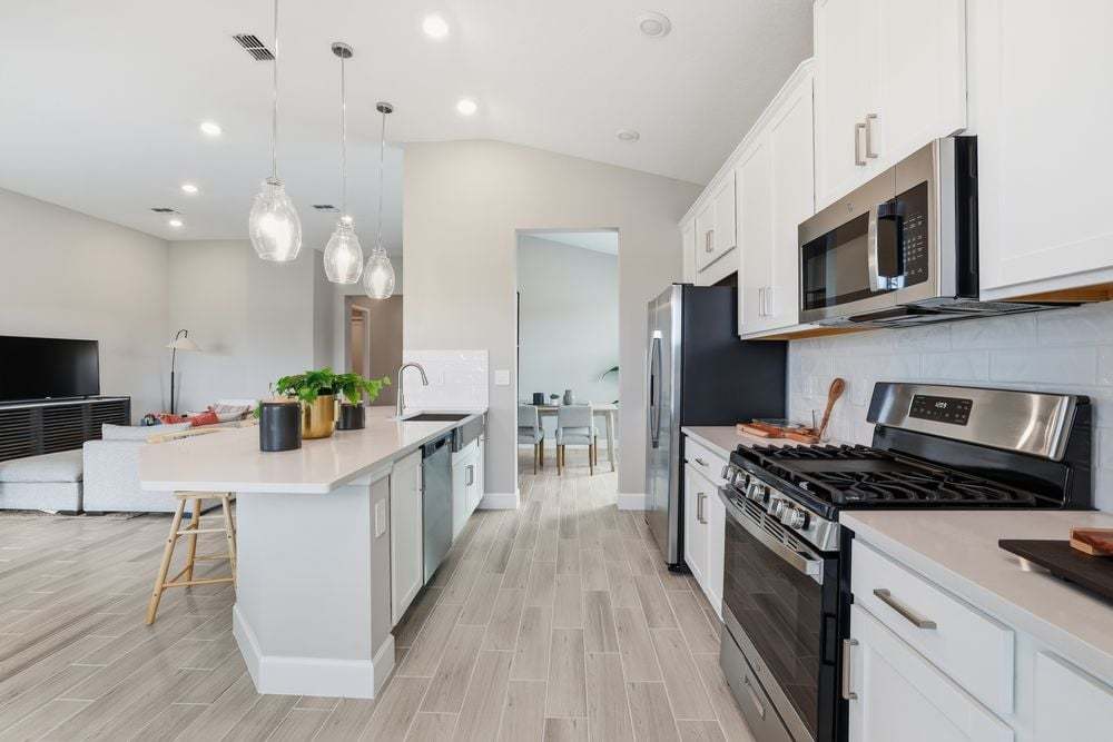 hj-fl-tampa-firethorn-aruba-lot-1033-kitchen-004