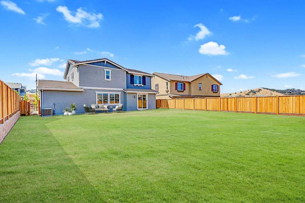 Maple rear yard
