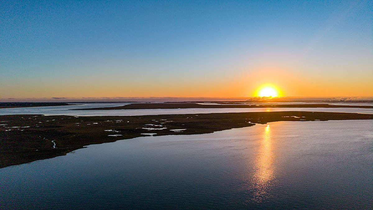 Cumberland-Island-National-Seashore-0394-1200x675