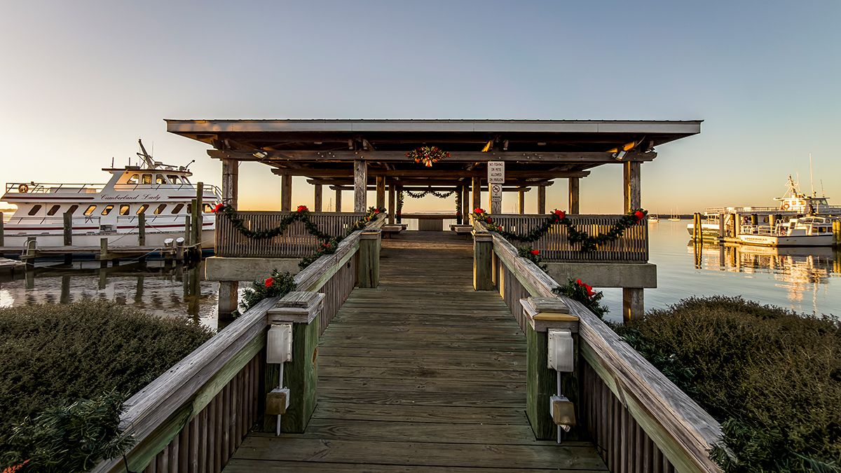 Cumberland-Island-National-Seashore-3575-1200x675