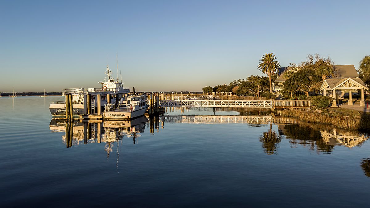 Cumberland-Island-National-Seashore-3577-1200x675