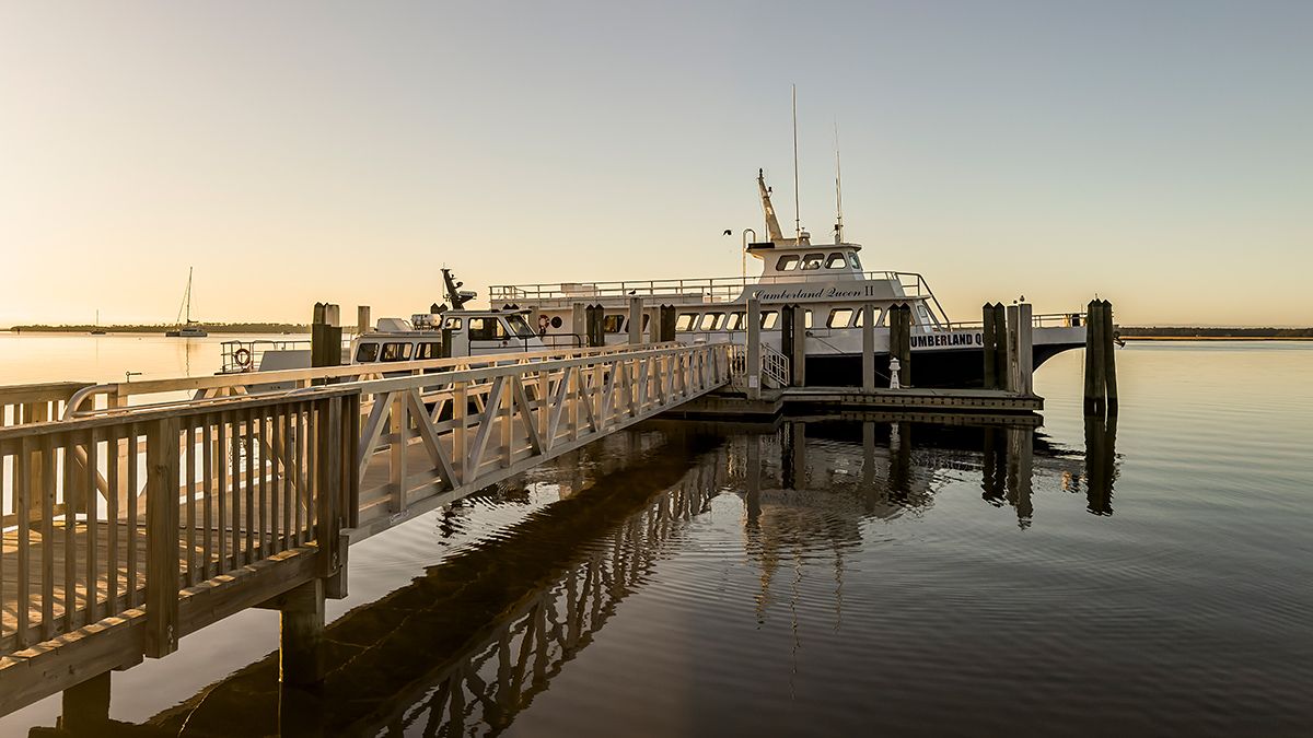 Cumberland-Island-National-Seashore-3582-1200x675