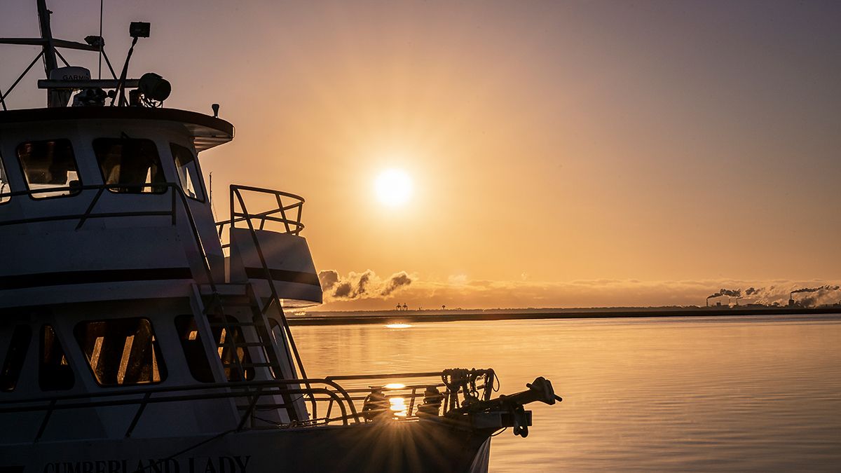 Cumberland-Island-National-Seashore-3643-1200x675
