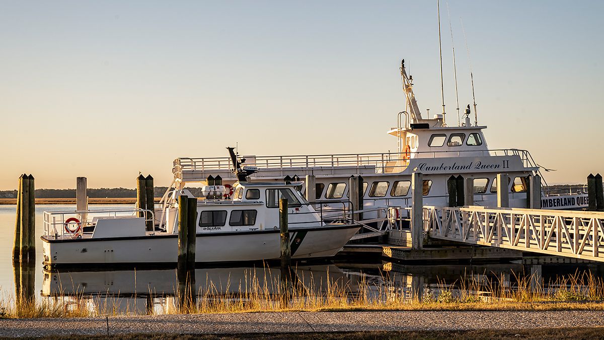 Cumberland-Island-National-Seashore-3646-1200x675