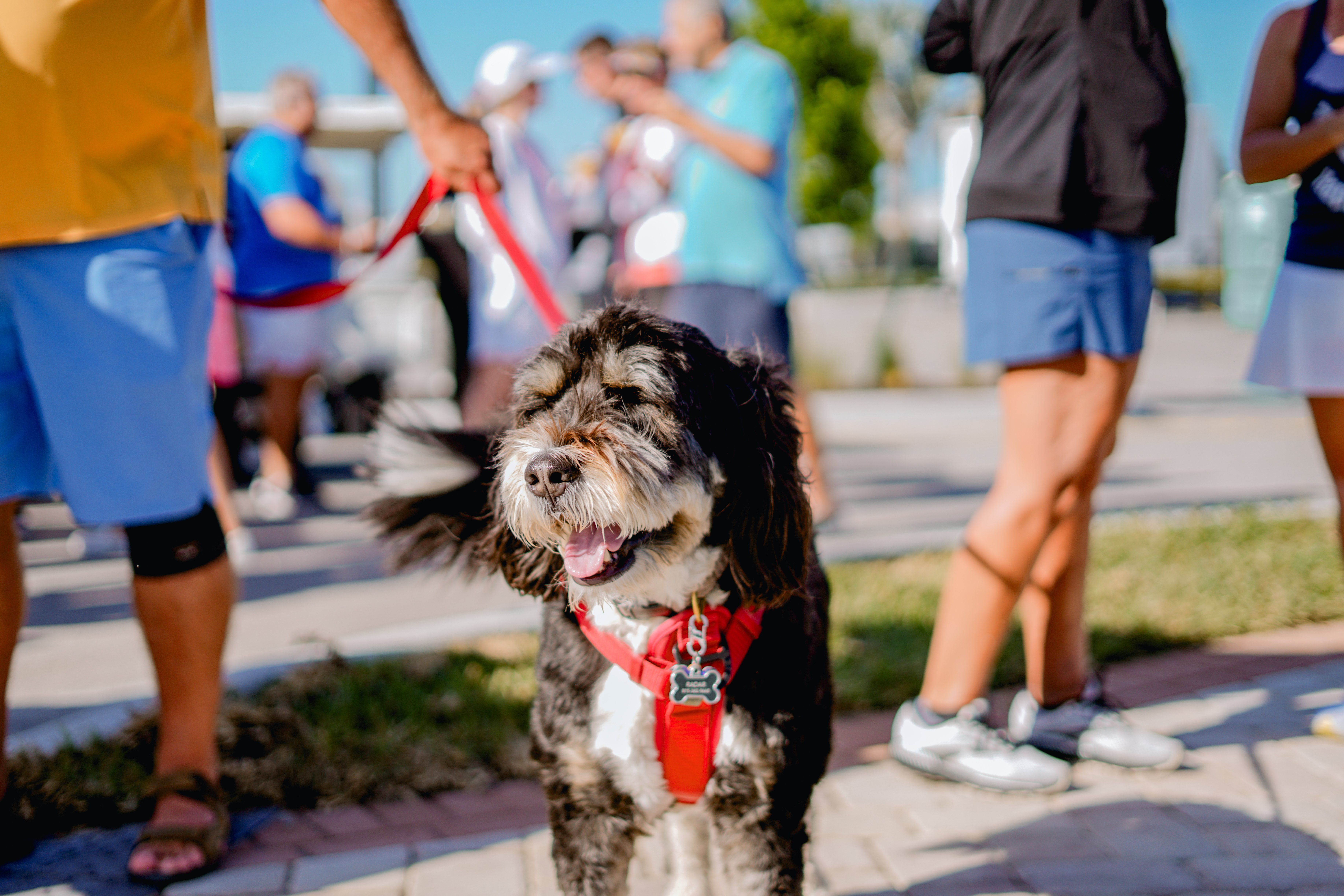 EsplanadeByTheIslands_SportsCourtsOpening_2024_1