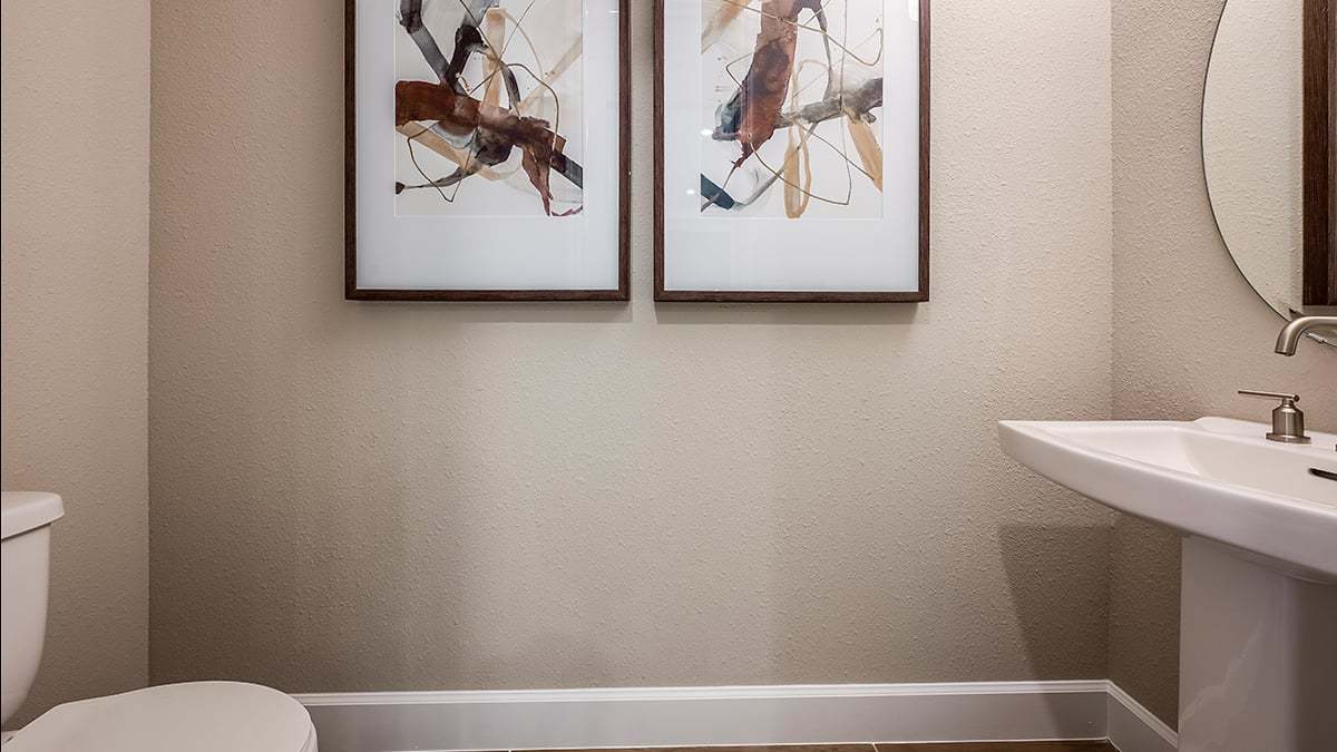 Ardisia-Park-Saint-Croix-7704-1200x675