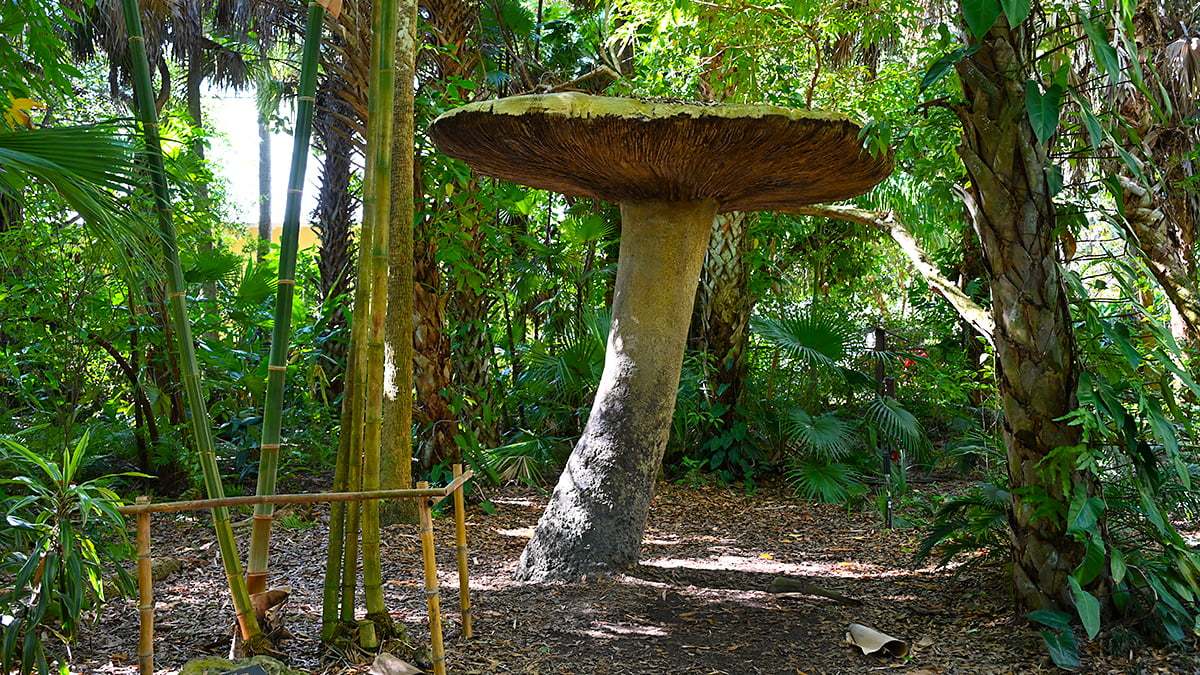 Mckee-Botanical-Gardens-2387-1200x675