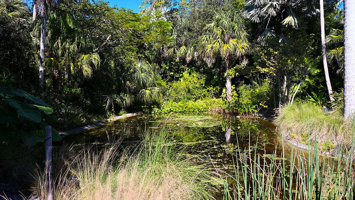 Mckee-Botanical-Gardens-2388-1200x675